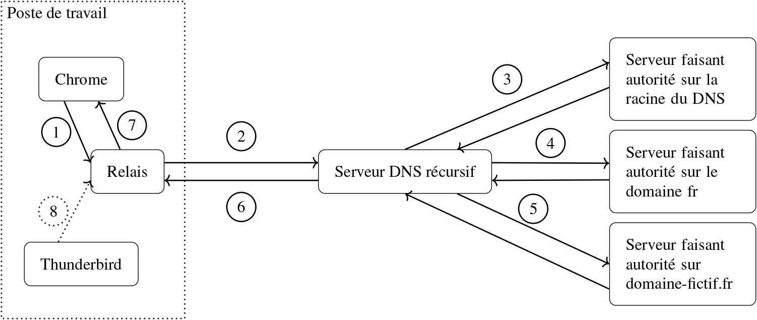 Résolution DNS avec un relais