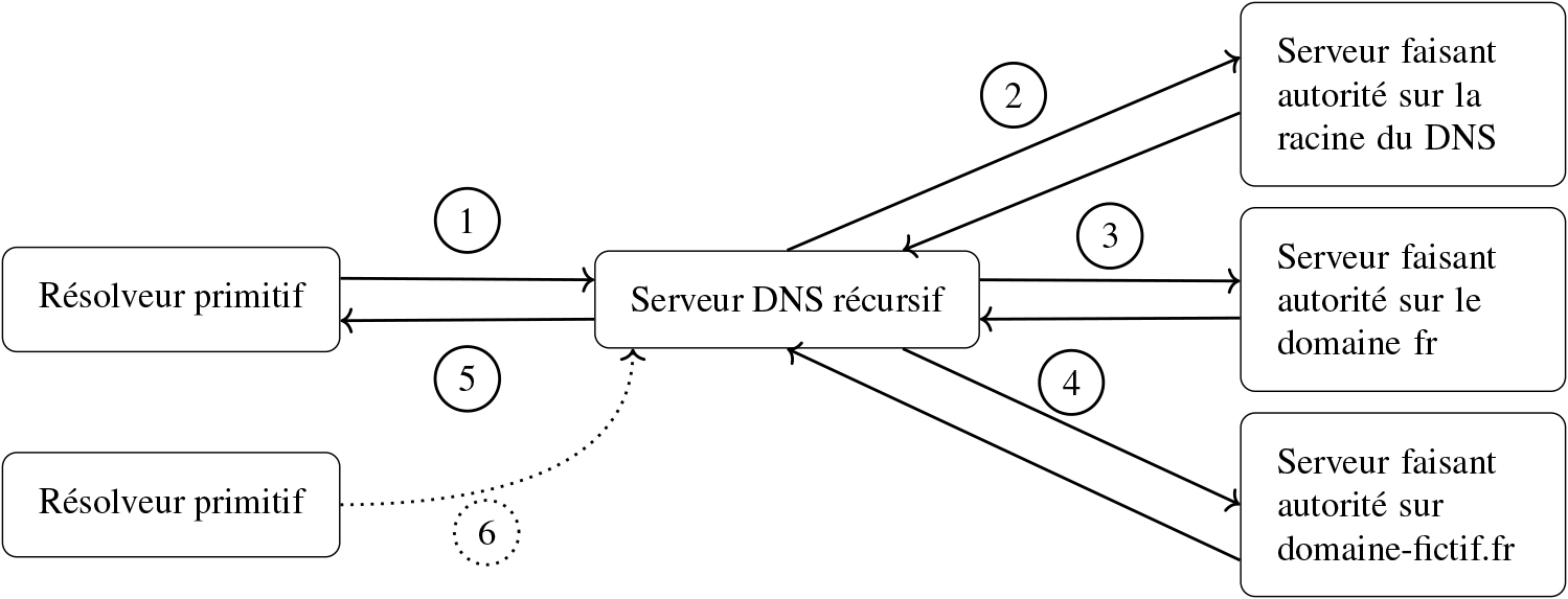 Résolution DNS standard